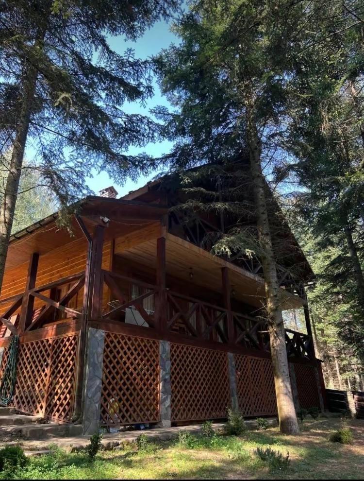 Ялинка Villa Migovo Exterior photo