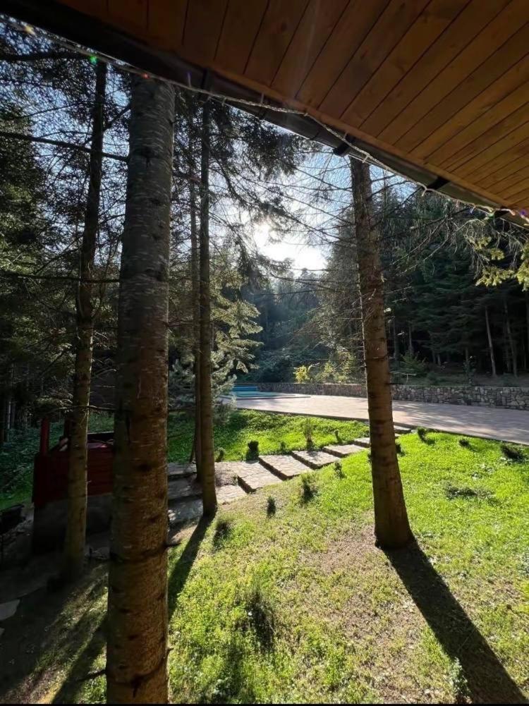 Ялинка Villa Migovo Exterior photo