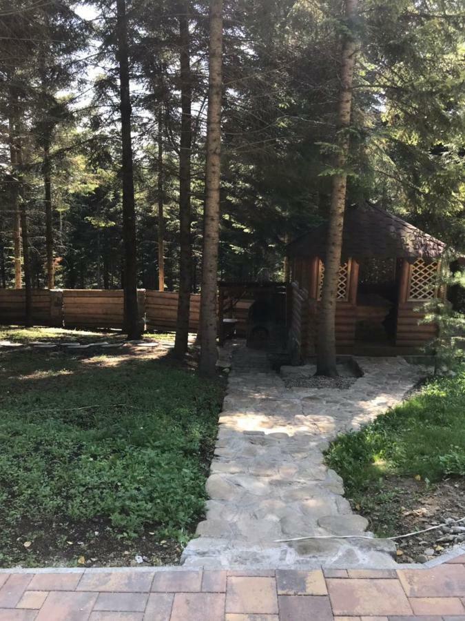 Ялинка Villa Migovo Exterior photo